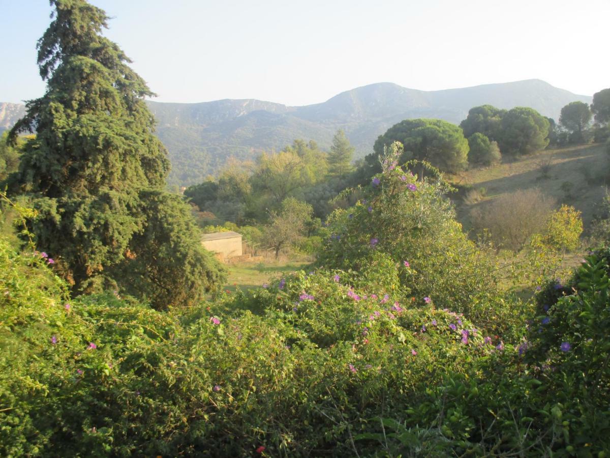 Coin De Paradis Quinta do Anjo Zewnętrze zdjęcie