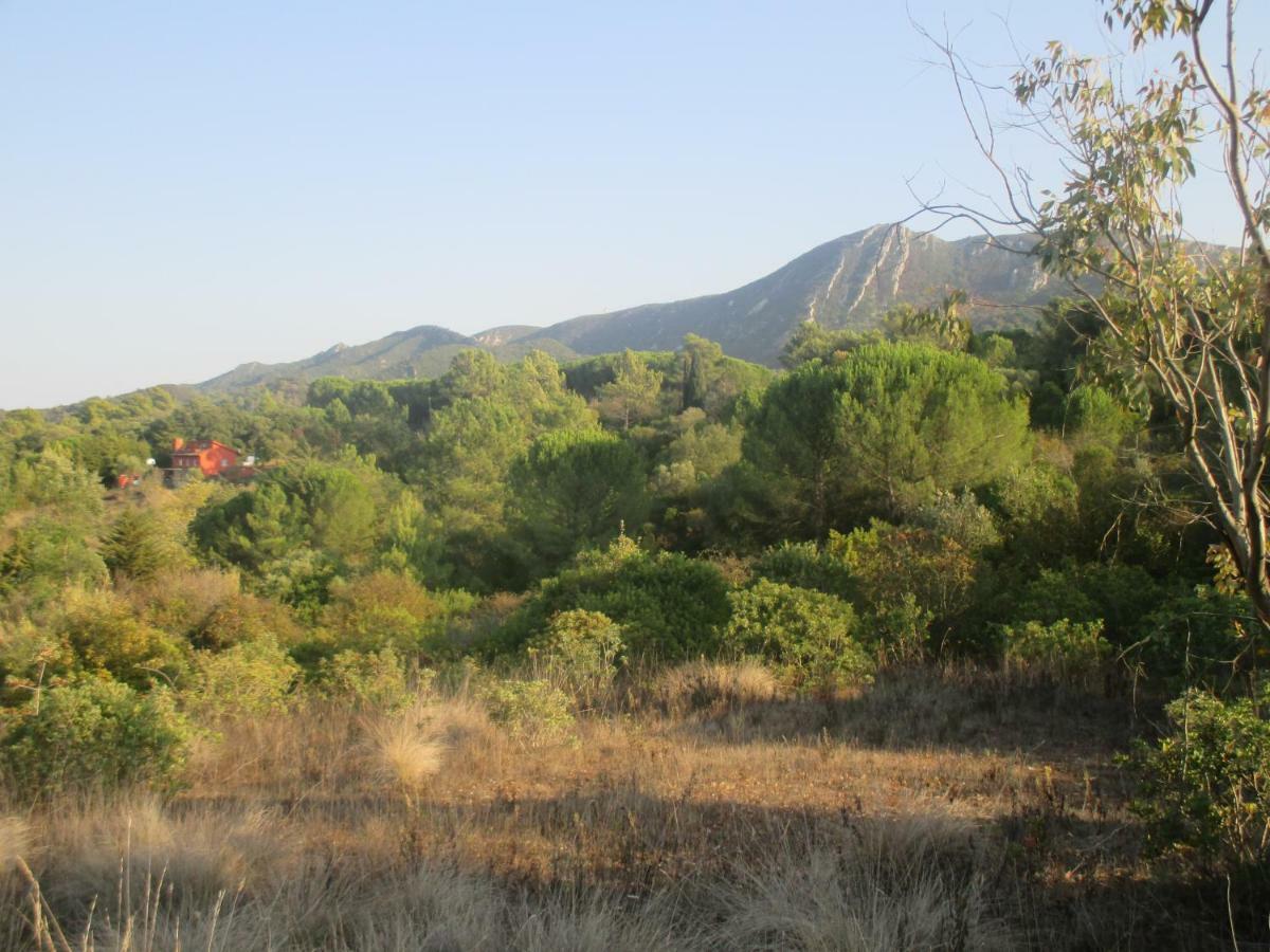 Coin De Paradis Quinta do Anjo Zewnętrze zdjęcie