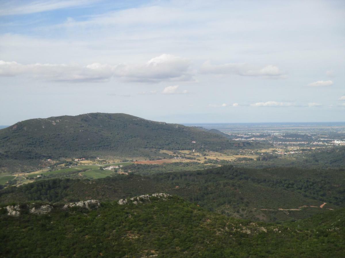 Coin De Paradis Quinta do Anjo Zewnętrze zdjęcie